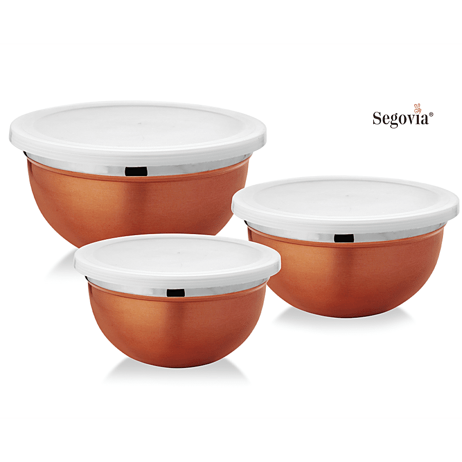 Segovia Stainless Steel Storage/Serving Container Bowl Set - With Lid