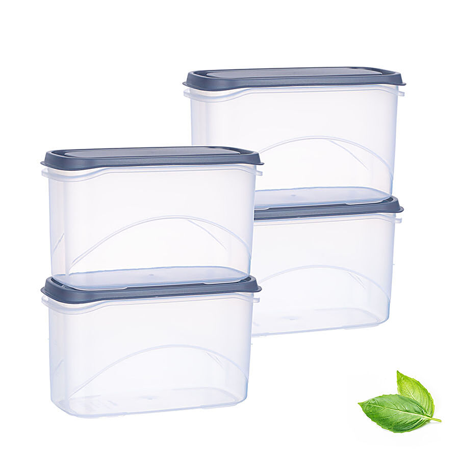 All Time Plastic Frostee Containers With Lid - Blue