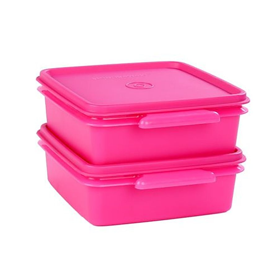 Signoraware Easy To Carry Small - Pink 704S2