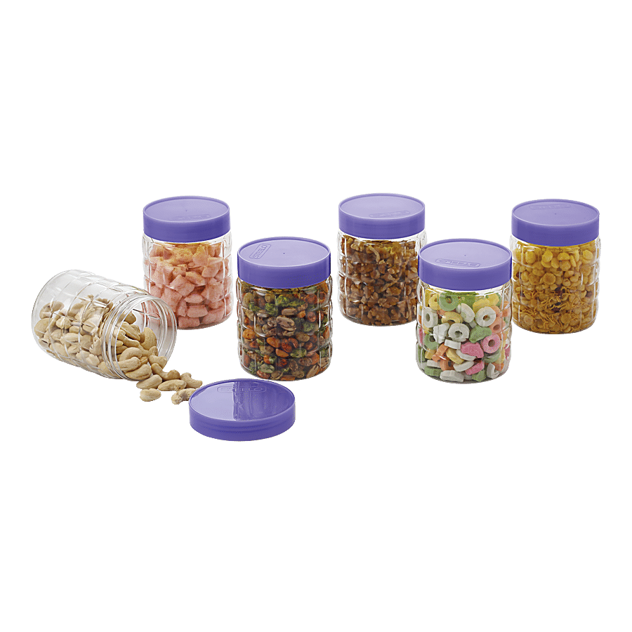 Steelo Pet Solitaire Storage Container Set with Purple Lid - Transparent