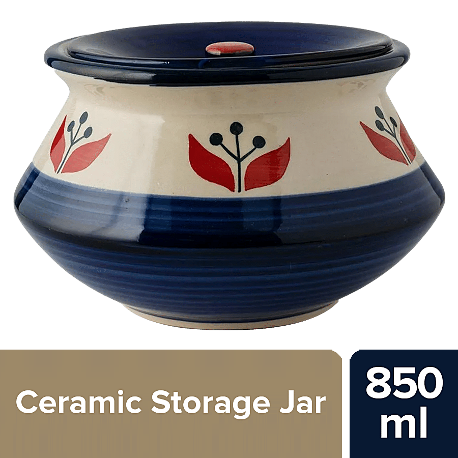 bb home Earth Storage Jar/Handi