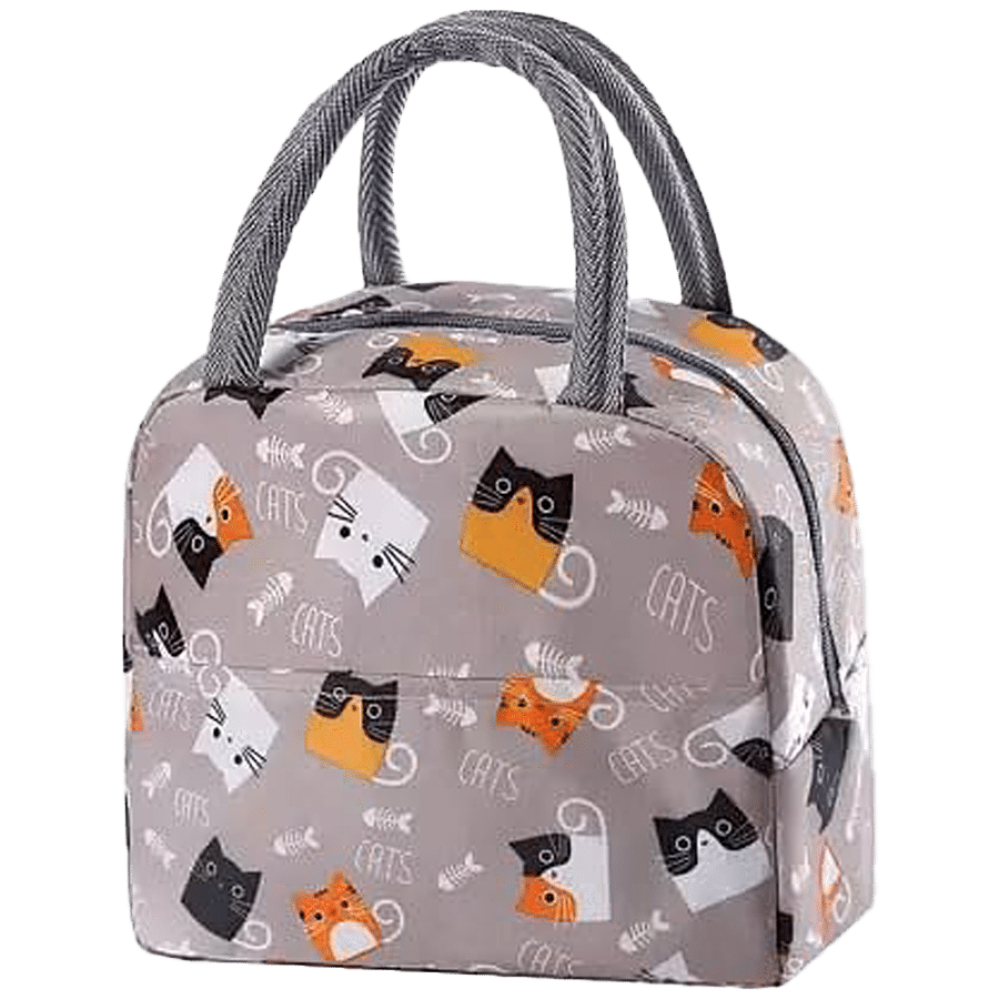 JBG Home Store Kids Lunch Bag - Aluminium Foil Insulated