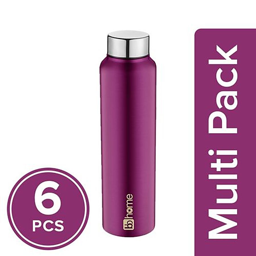 BB Home Frost Stainless Steel Water Bottle With Steel Cap - Purple