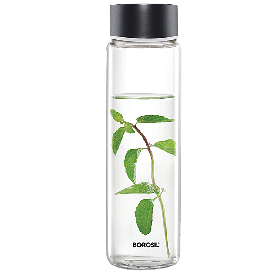 Borosil Glass Bottle - Transparent