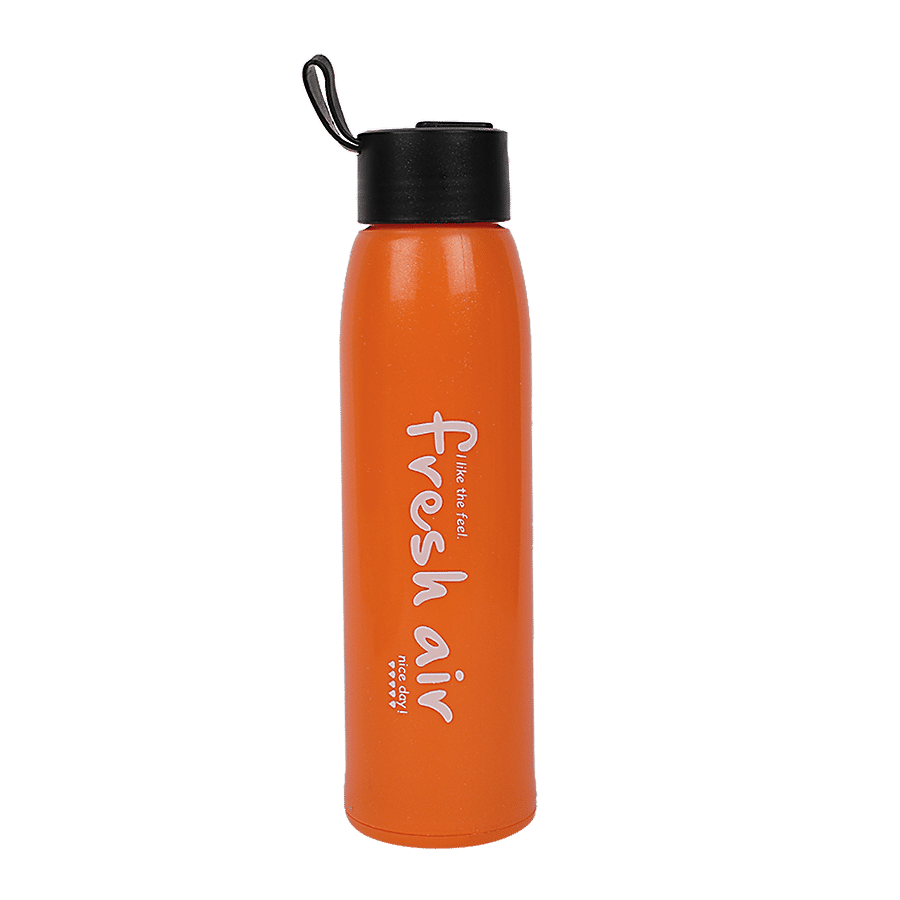 DP Borosilicate Glass Water Bottle With Plastic Outer - Orange