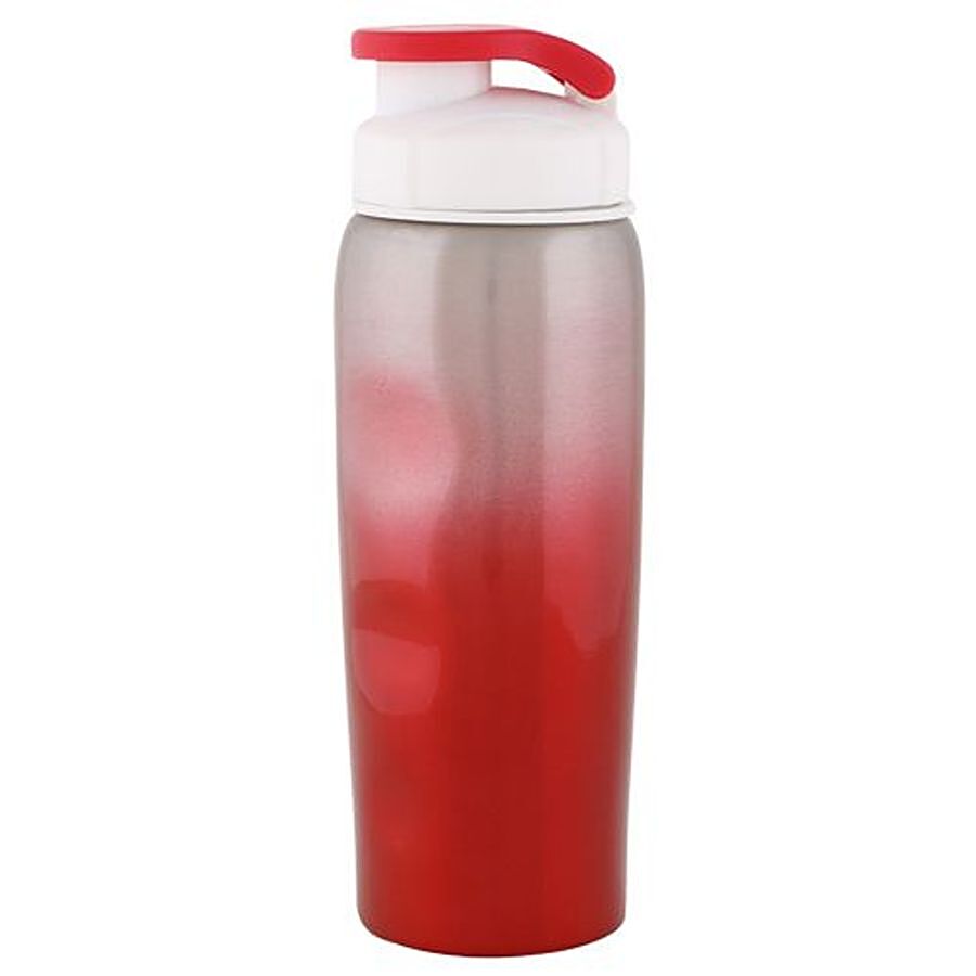 DP Stainless Steel Water Bottle - Red BB 498 3