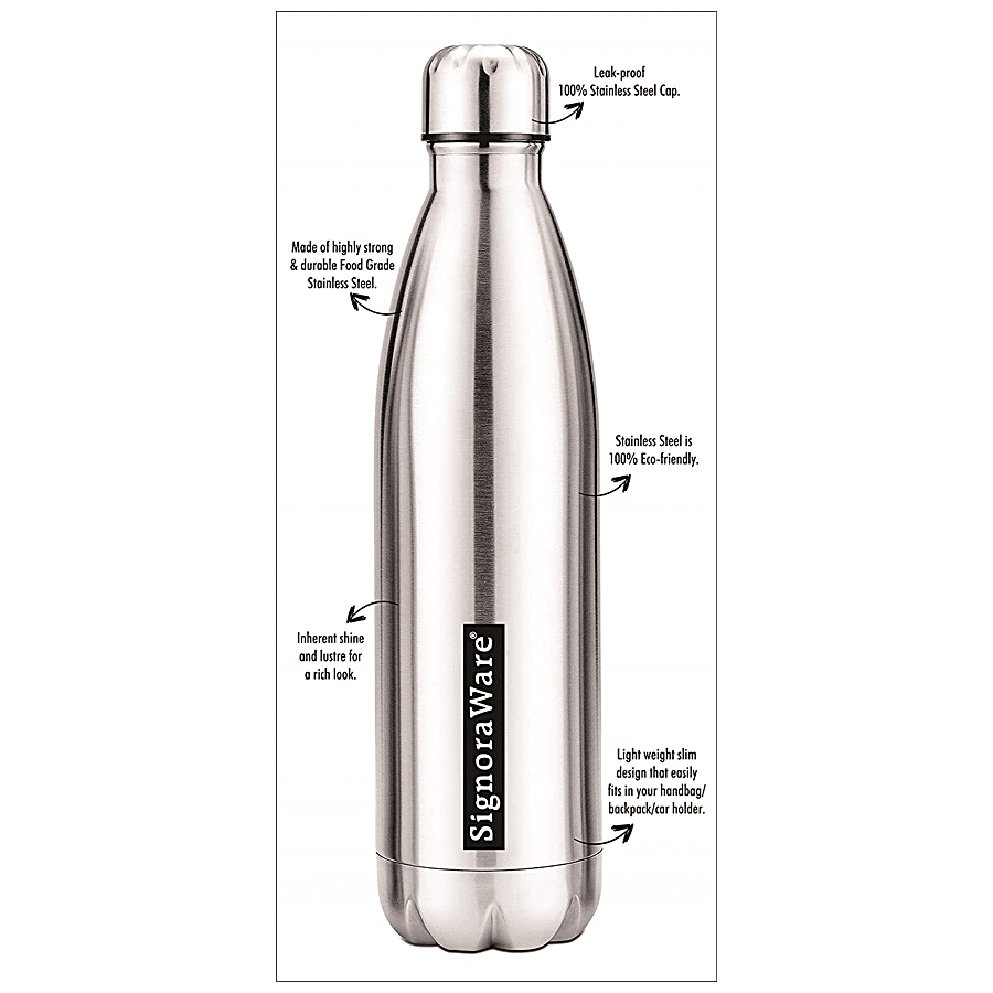 Signoraware Aace Single Walled Stainless Steel Fridge Water Bottle -Cola Silver