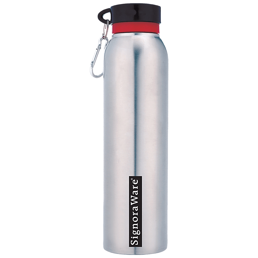 Signoraware Chill Single Walled Stainless Steel Fridge Water Bottle - Silver