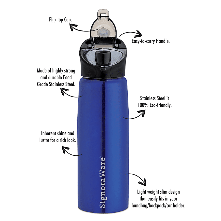 Signoraware Deva Single Walled Stainless Steel Fridge Water Bottle - Blue