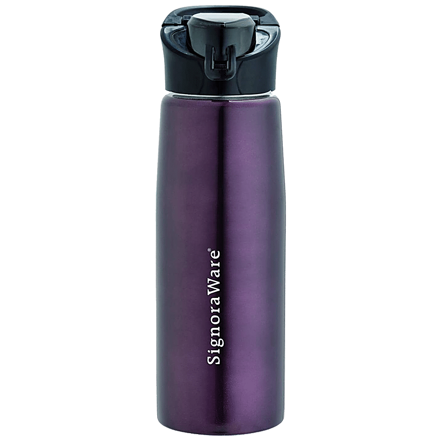 Signoraware Deva Single Walled Stainless Steel Fridge Water Bottle - Red