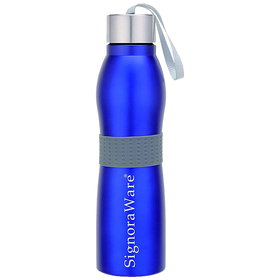 Signoraware Mobilio Single Walled Stainless Steel Fridge Water Bottle - Blue