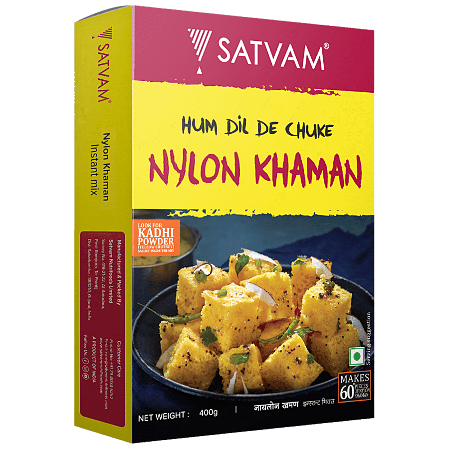 Satvam Nylon Khaman - Instant Mix