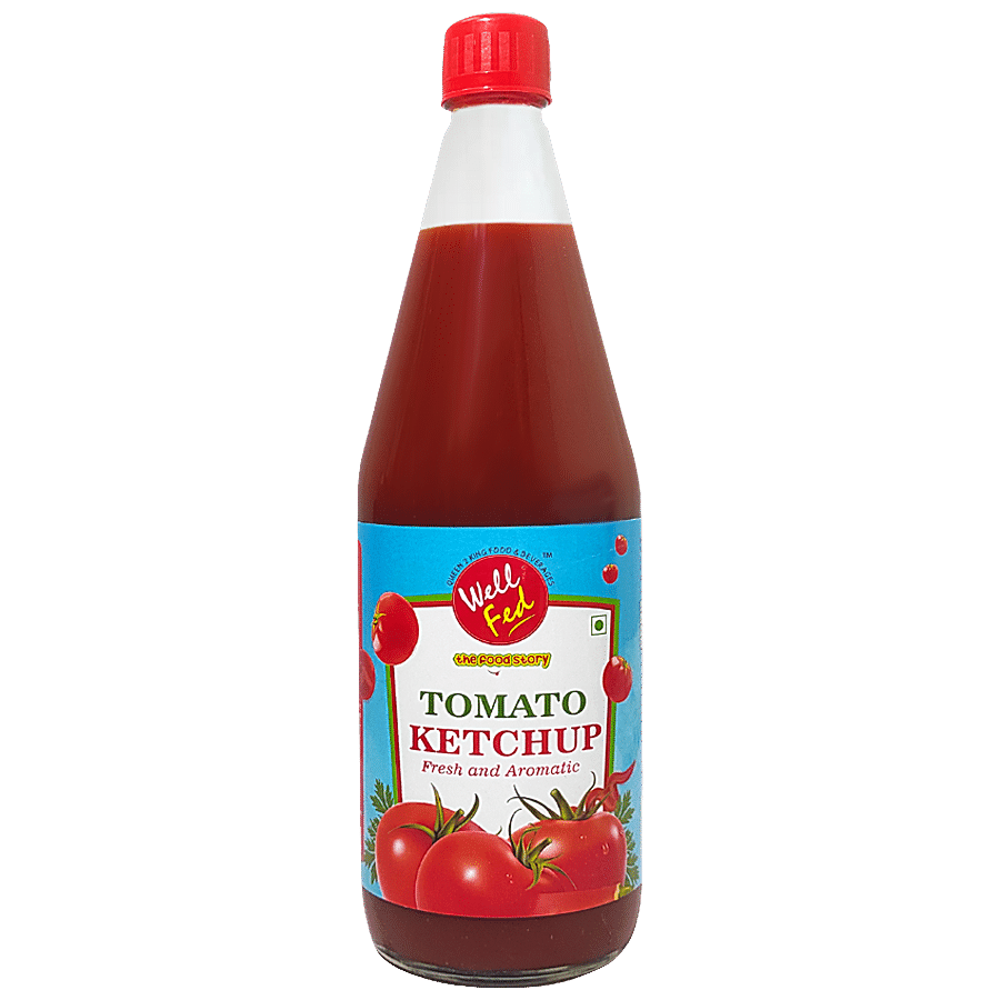 Well Fed Tomato Ketchup - Tangy Taste