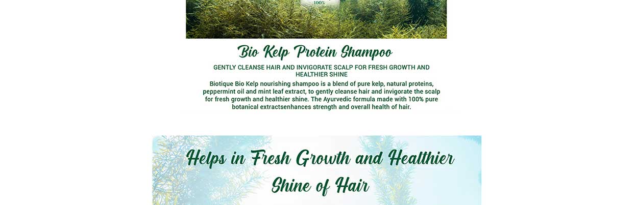 BIOTIQUEOceanKelpShampoo-ForAntiHairFall-null-2