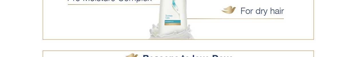 Dove-Dryness-Care-Shampoo-229140-5