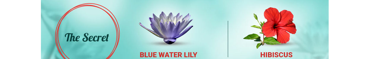 Himalaya-Dryness-Defense-Protein-Conditioner-Blue-Waterlily-40142361-6