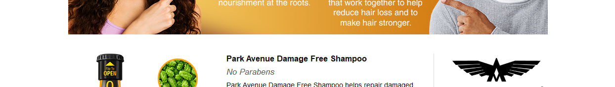 ParkAvenueBeerShampoo-DamageFree-40206039-6