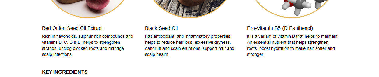 WowSkinScienceRedOnionBlackSeedOilKit-ShampooConditioner-null-4