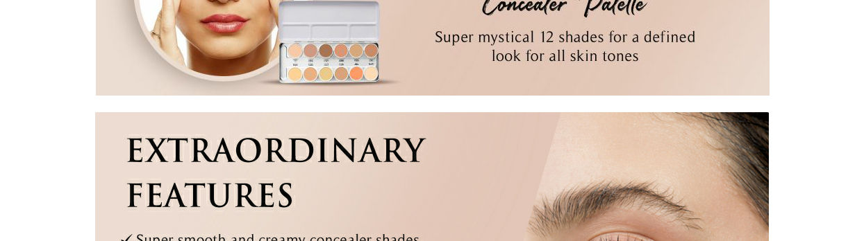 SwissBeauty12ColourSupraConcealerPalette-SB-1602-40259529-5