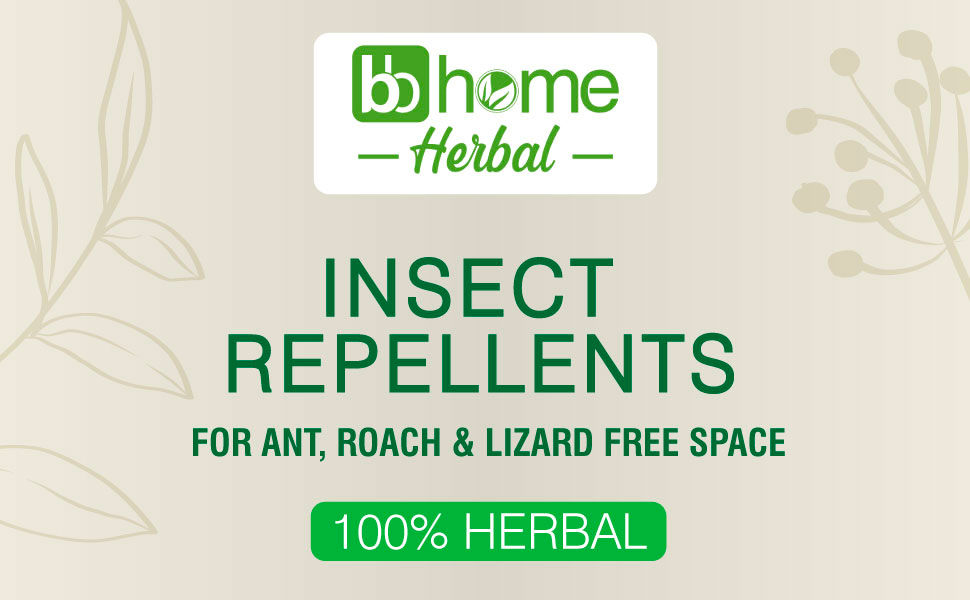 bb-home-Herbal-Lizard-Insect-Repellent-Spray-40203067-1