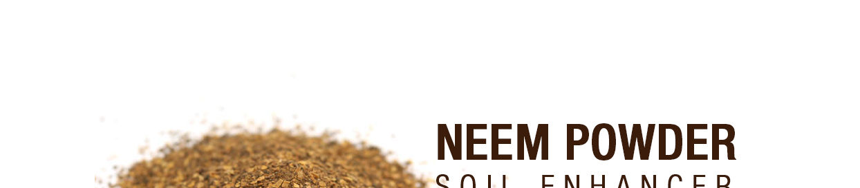 Stonesoup-Neem-Powder-null-2