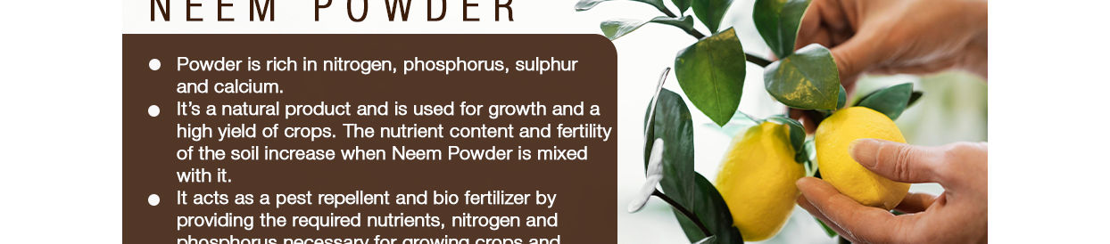 Stonesoup-Neem-Powder-null-5