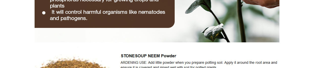 Stonesoup-Neem-Powder-null-6