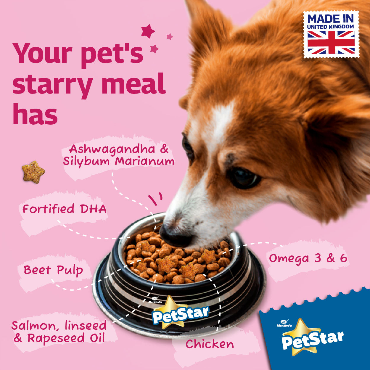 Mankinds-Petstar-Dry-Dog-Food-Meat-Wheat-40303047-1