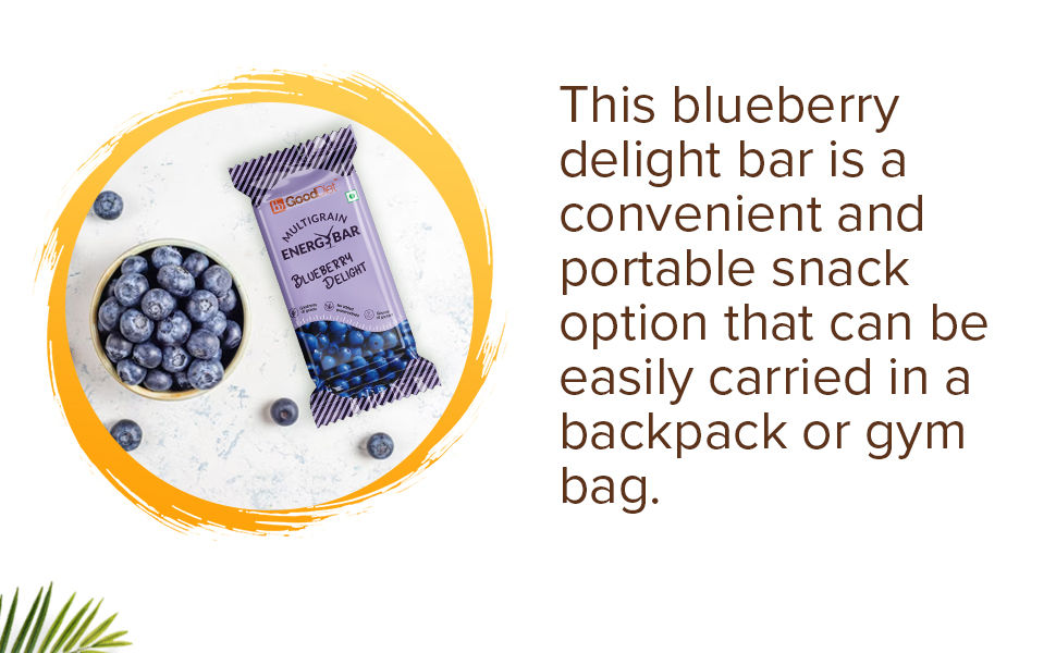 bb-Gooddiet-Multigrain-Energy-Bar-Blueberry-Delight-40203073-4