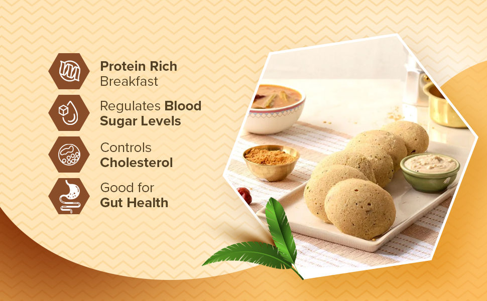 bb-Gooddiet-Oats-Idli-40112436-2