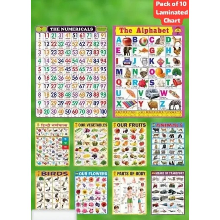 Educational 10 Laminated Charts 45cmtimes;60cm Parts of Body, Fruits, Means of transport, Animals, Birds, Numericals, Alphabet, Flower, Hindi Vanmala, Vegetables. Pack of 10*